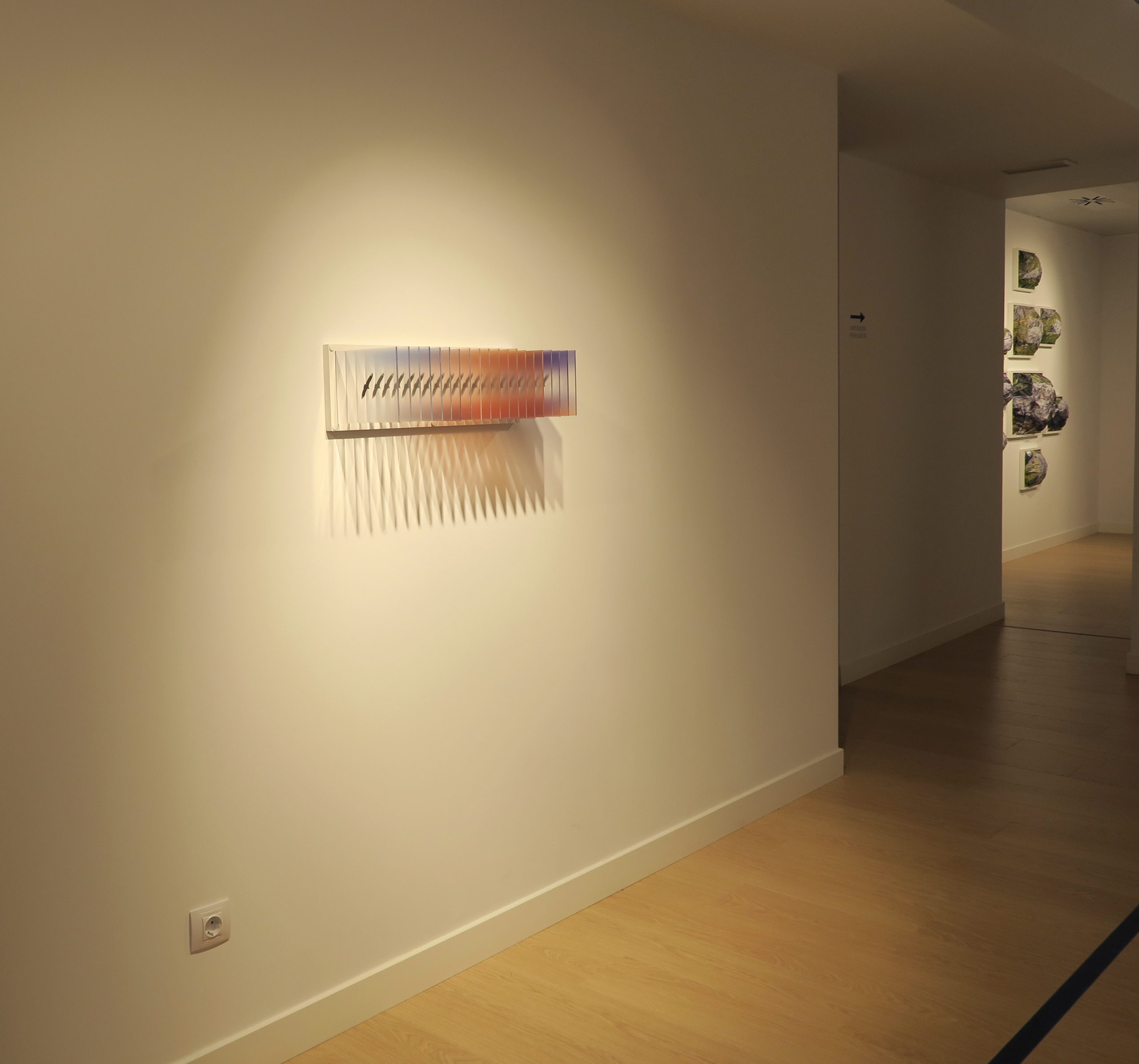 Re. Erakusketa kolektiboa